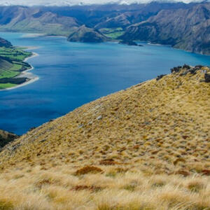 New Zealand Tour Packages